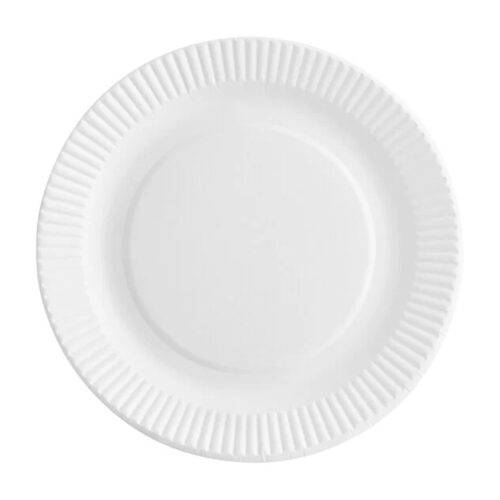 PAPER PLATE 9 10-100